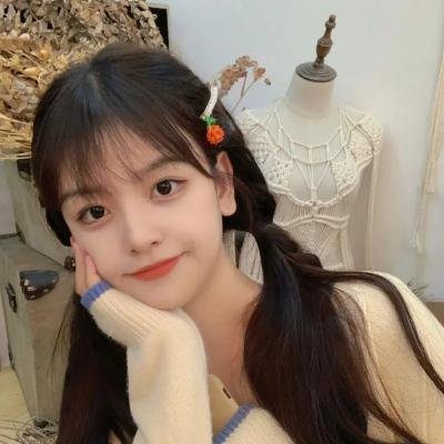 燕子不再归来